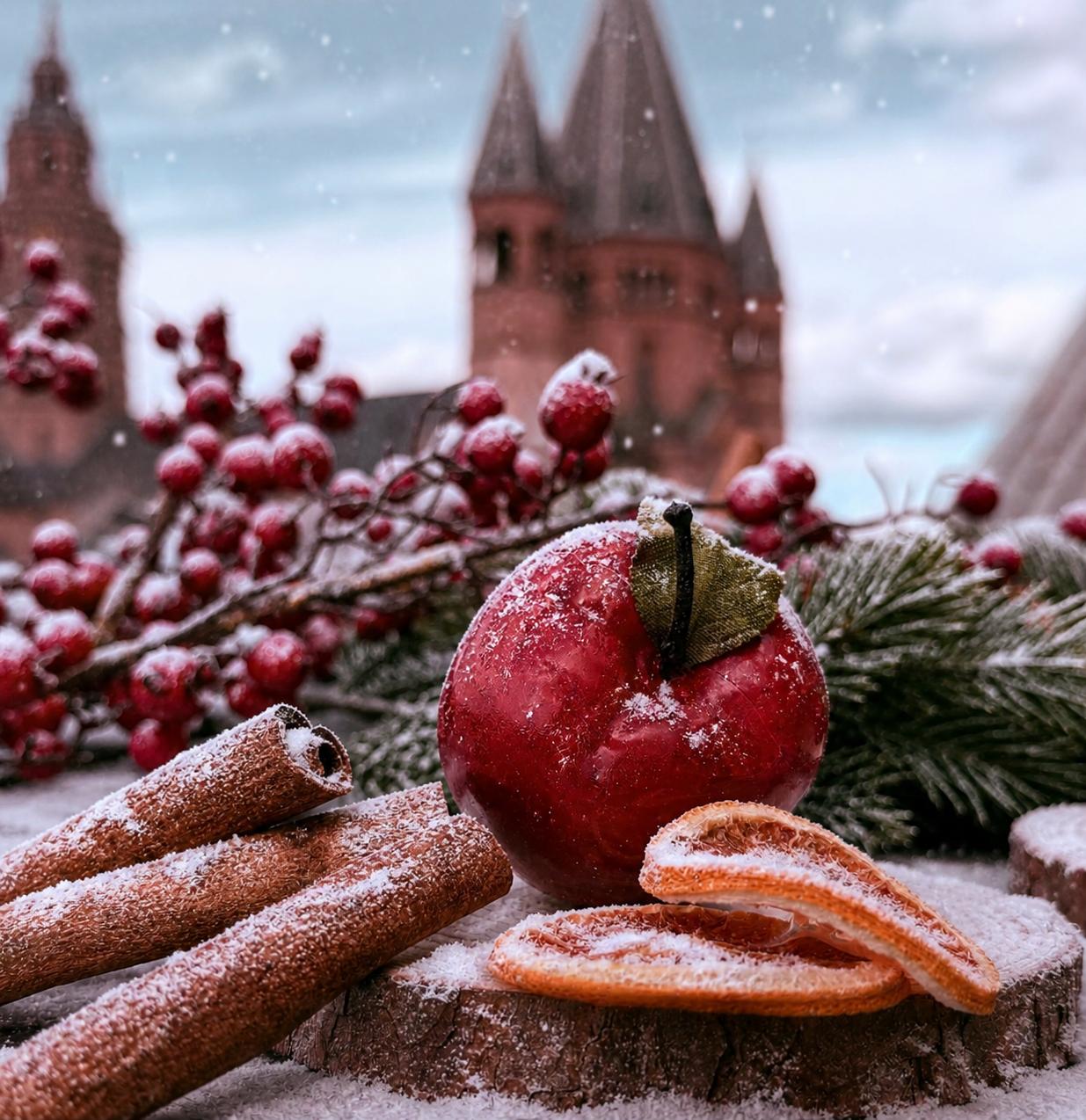 Winter Aussicht Dom