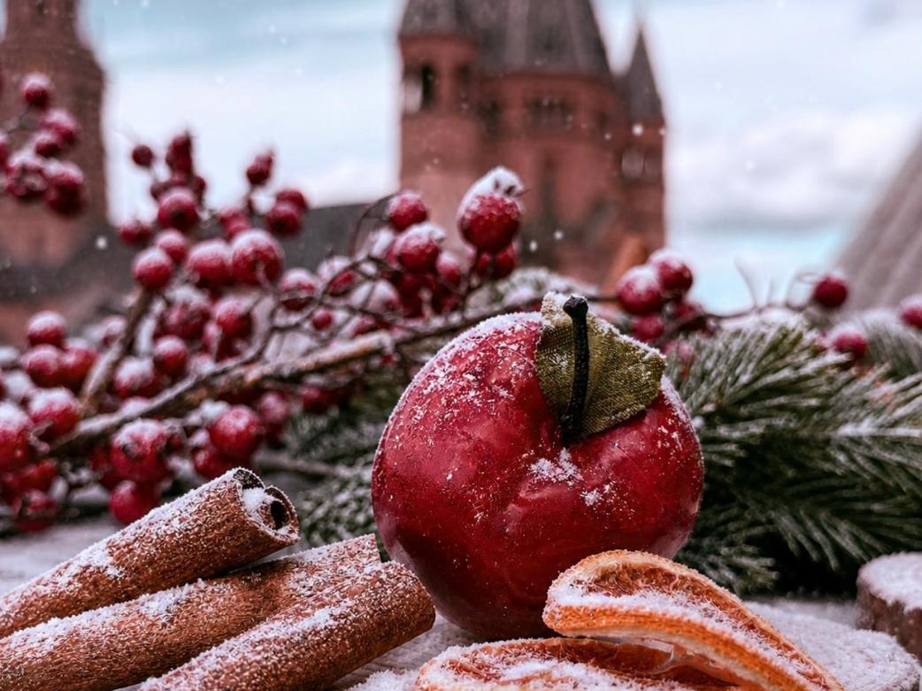 Winter Aussicht Dom