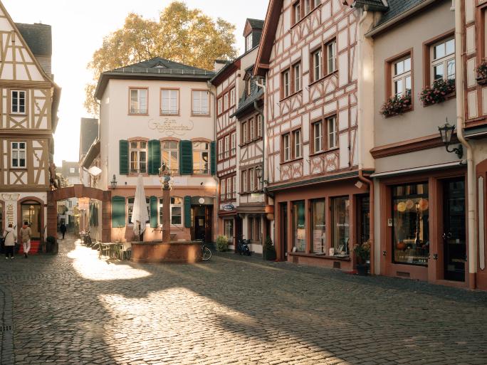 Mainzer Altstadt Kirschgarten