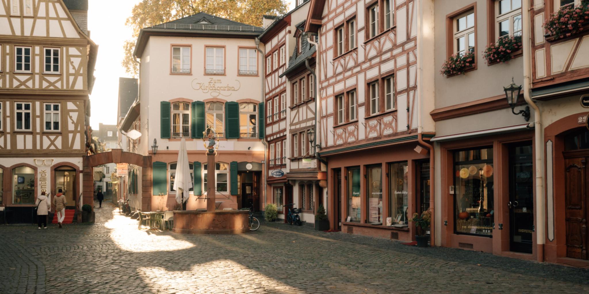 Mainzer Altstadt Kirschgarten