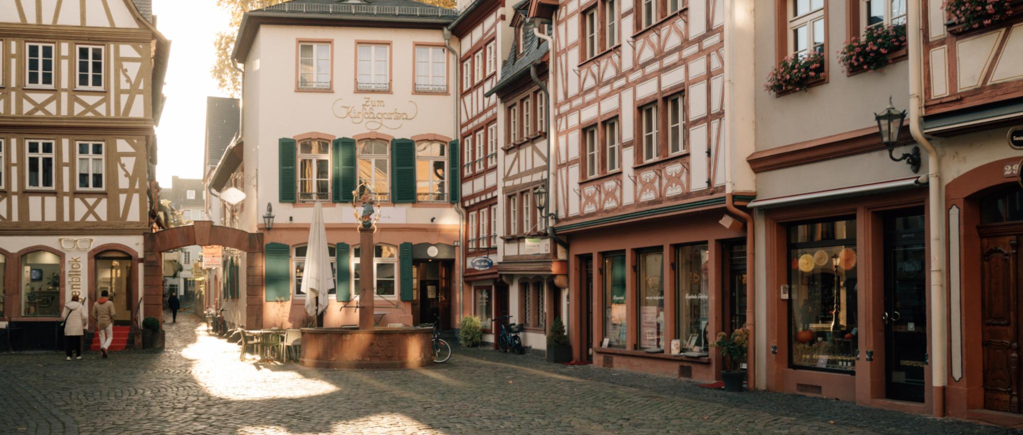 Mainzer Alstadthäuser