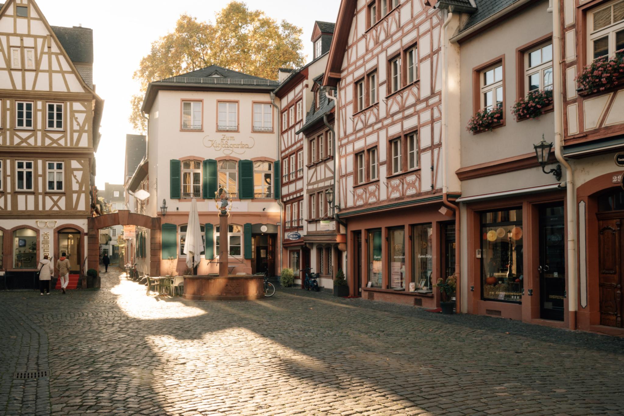 Mainzer Alstadthäuser