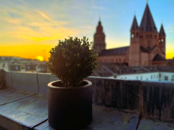 Ausblick von der Terasse Erbacher Hof mit Sonnenuntergang