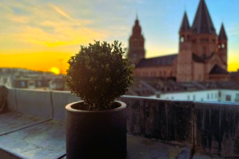 Ausblick von der Terasse Erbacher Hof mit Sonnenuntergang