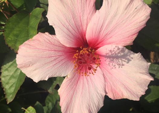 Jetzt sind wir dran!