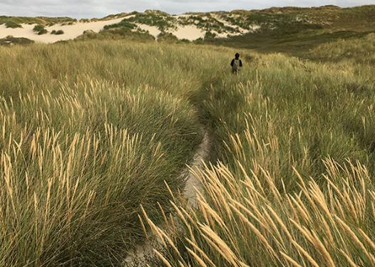 Gott sah, dass es war