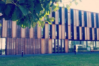 DonBosco_BFD-Anzeige