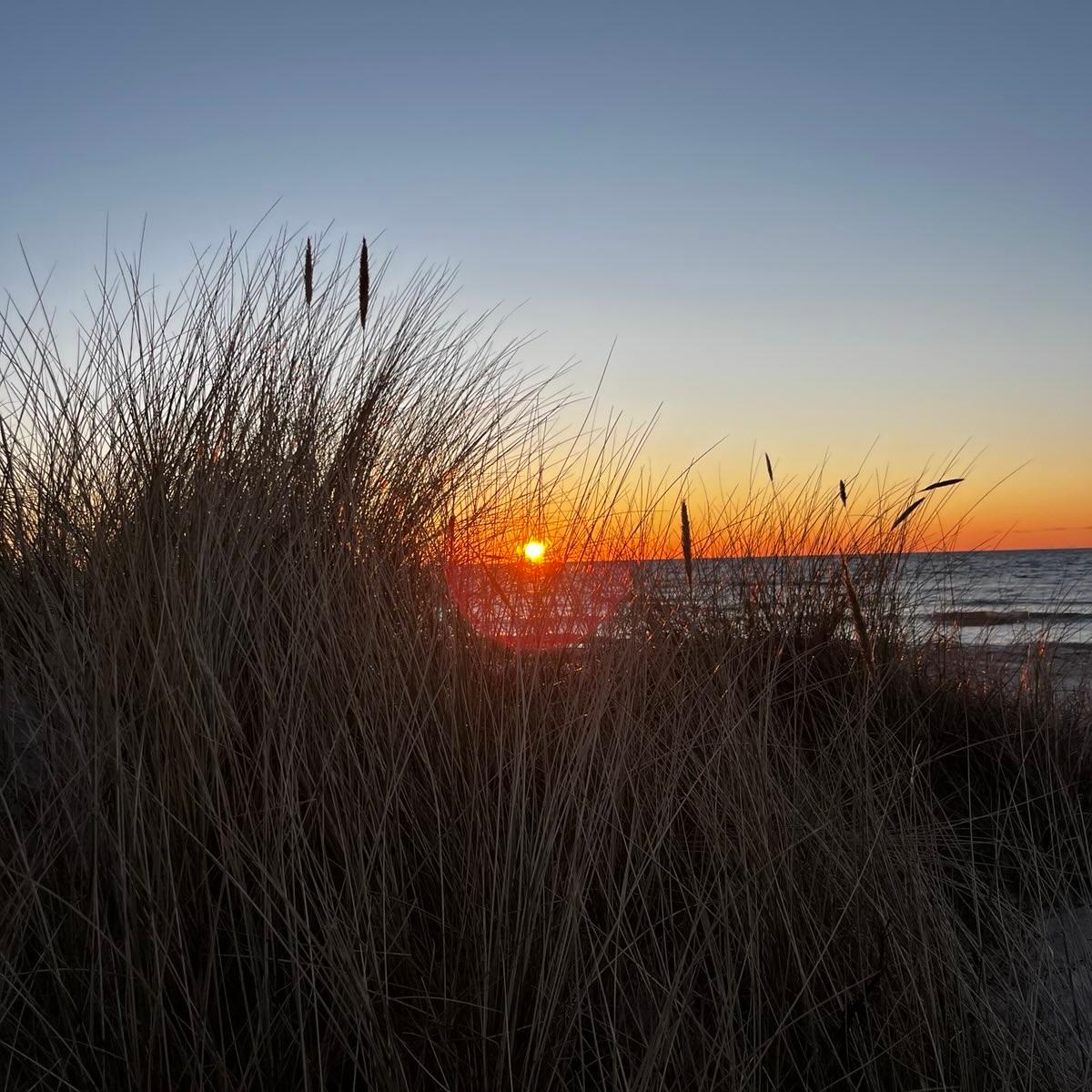 Unser Strand in Dänemark