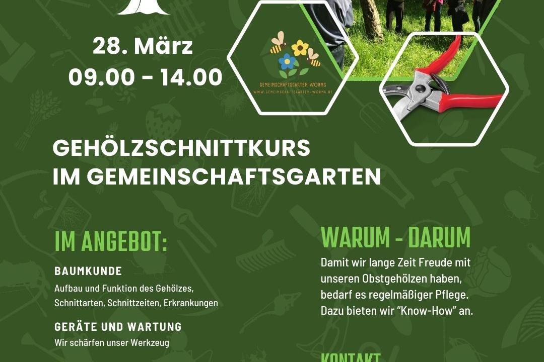 Obstgehölz Schnittkurs 28.03.26