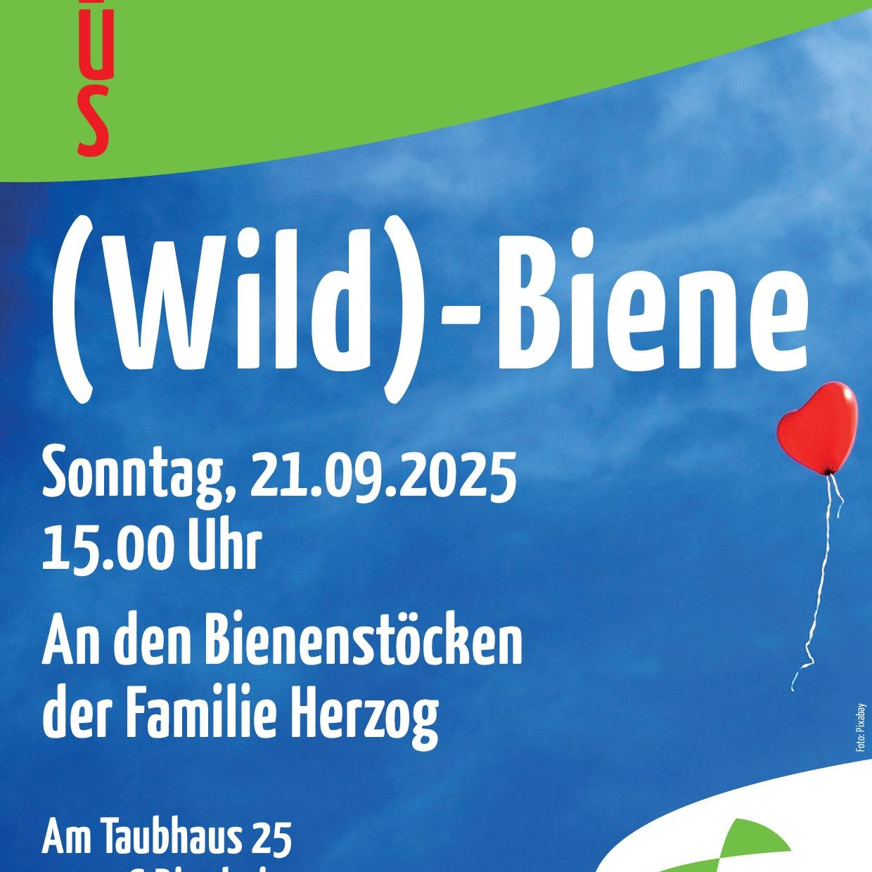 (Wild)-Biene? – Ein spiritueller Gottesdienst an einem besonderen Ort