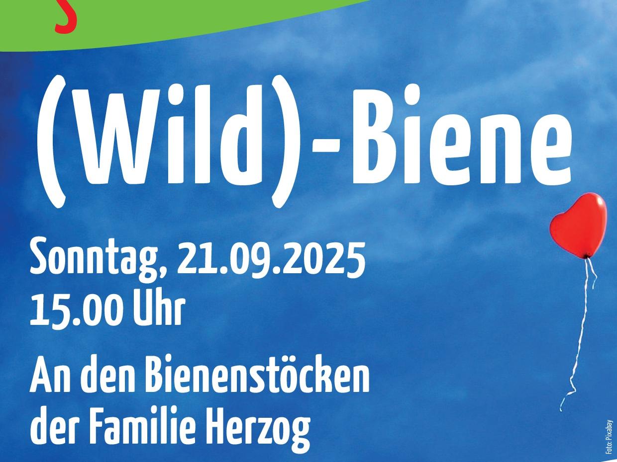 (Wild)-Biene? – Ein spiritueller Gottesdienst an einem besonderen Ort
