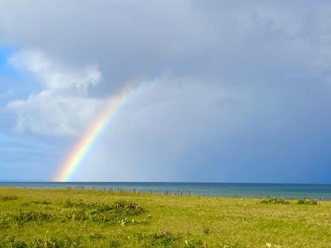 Landschaft mit einem Regenbnorgen