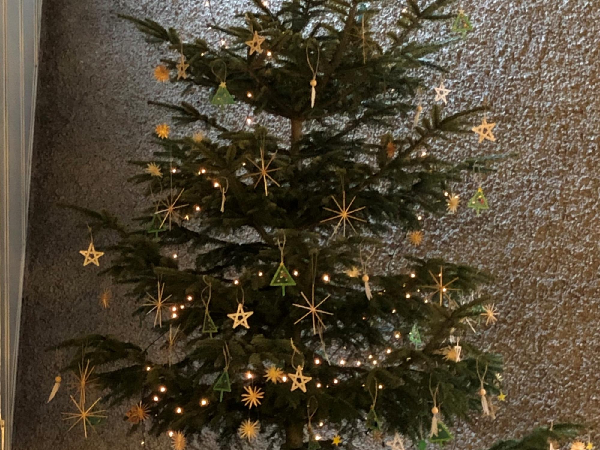 Weihnachtsbaum St. Paulus
