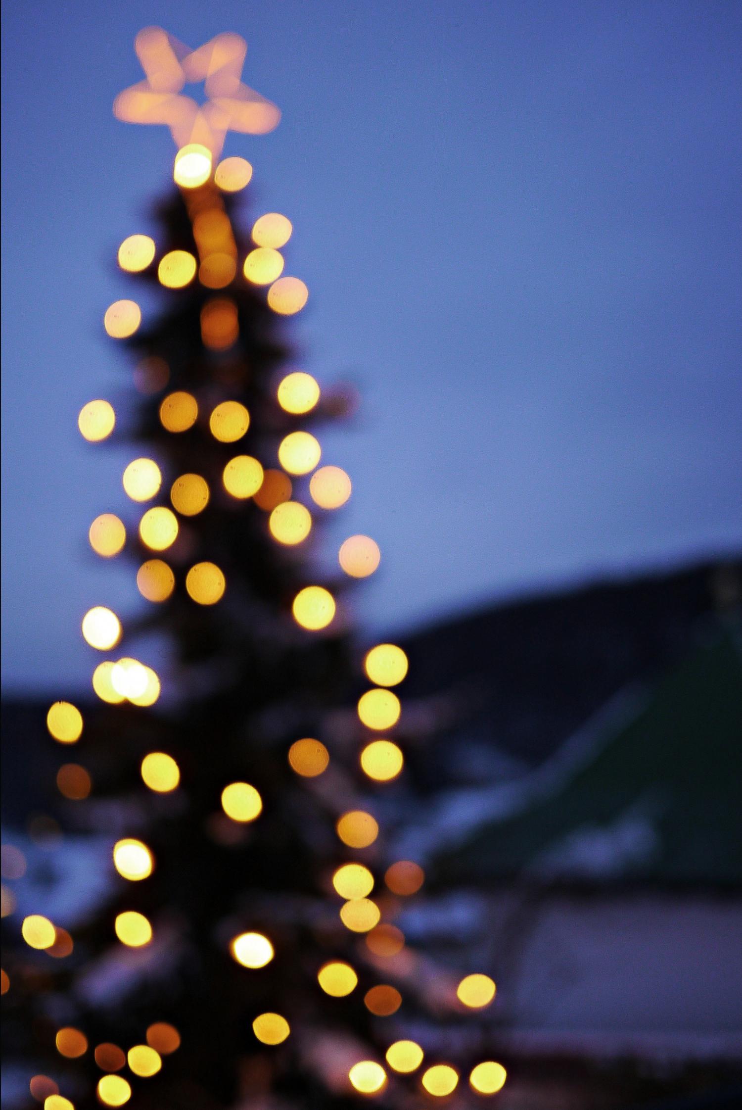 Weihnachtsbaum (c) pixabay@pfarrbriefservice