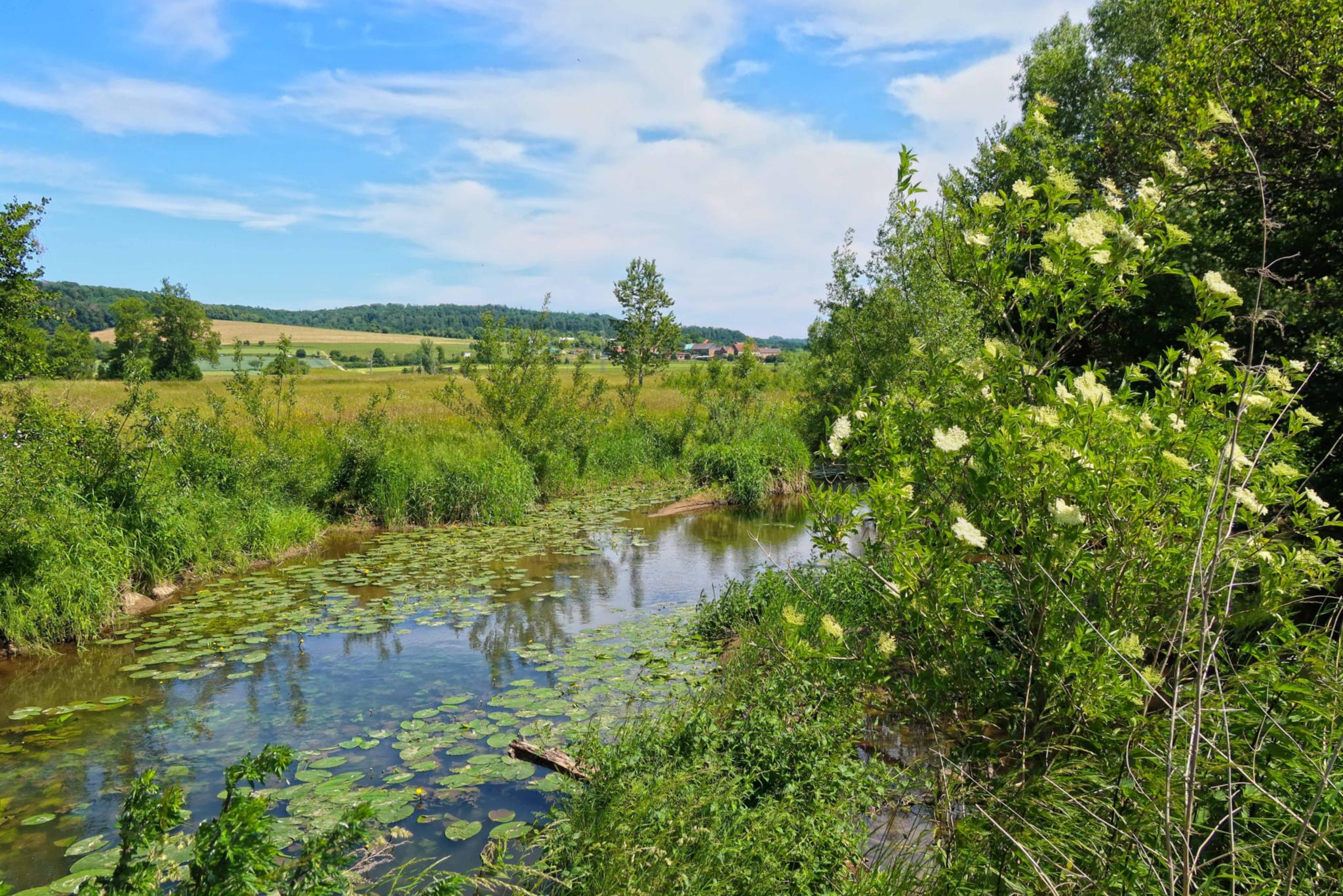 Blick von der Nidder nach Konradsdorf
