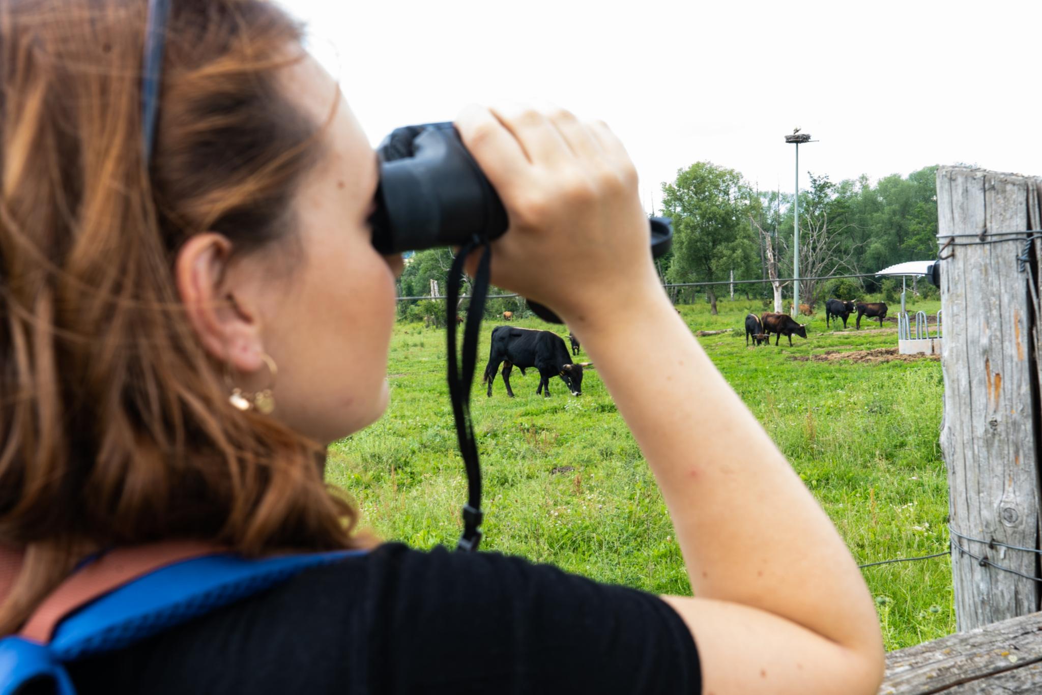 Naturschutzgebiet Nidderauen