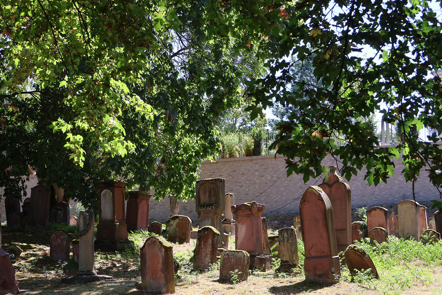 Der Jüdische Friedhof in Mainz