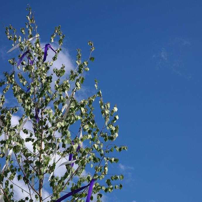 Maibaum