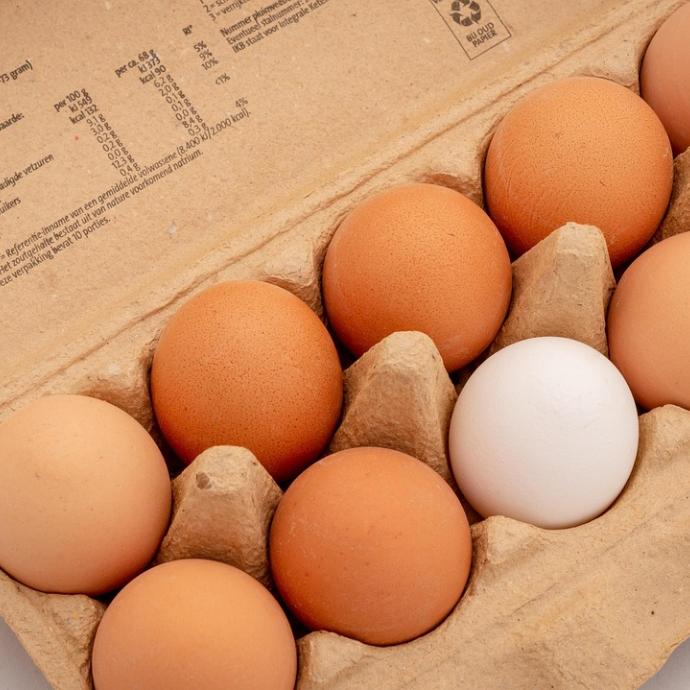 Eier braun und weiß