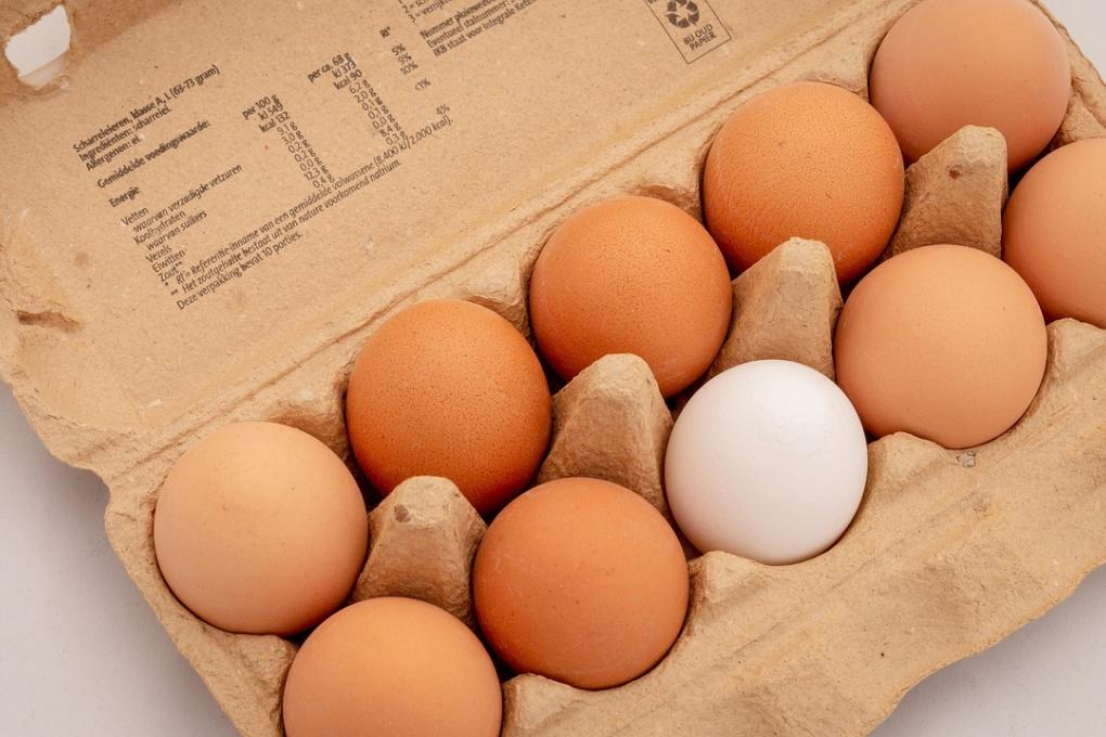 Eier braun und weiß
