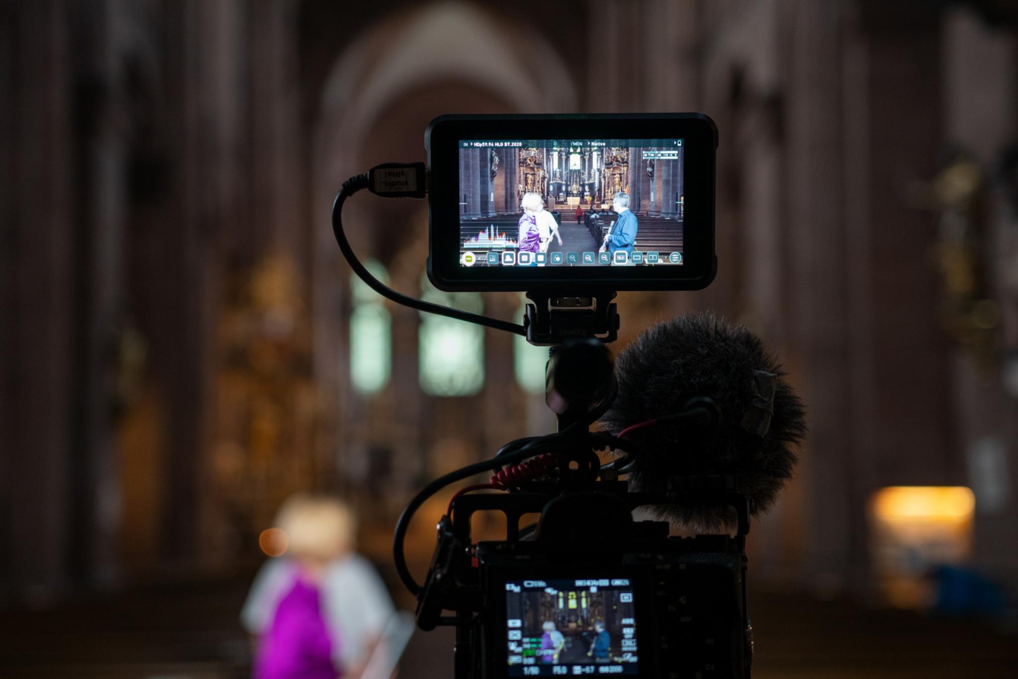 Schwalbennestorgel Worms / Videodreh