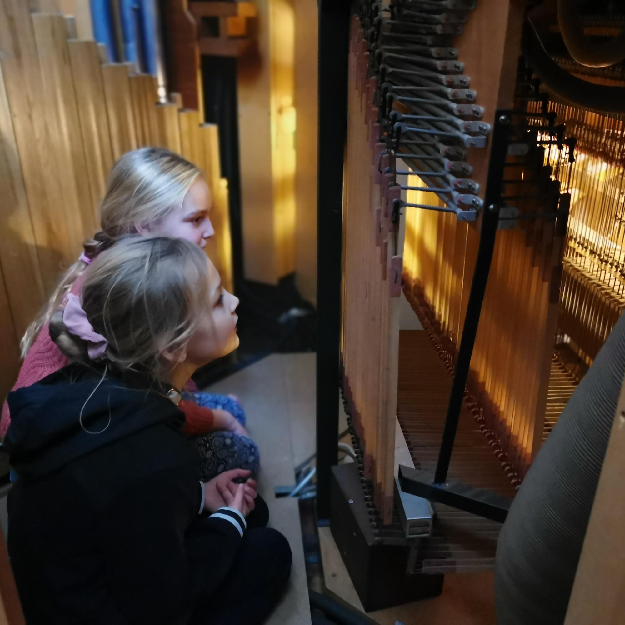 Staunen für das faszinierende Instrument