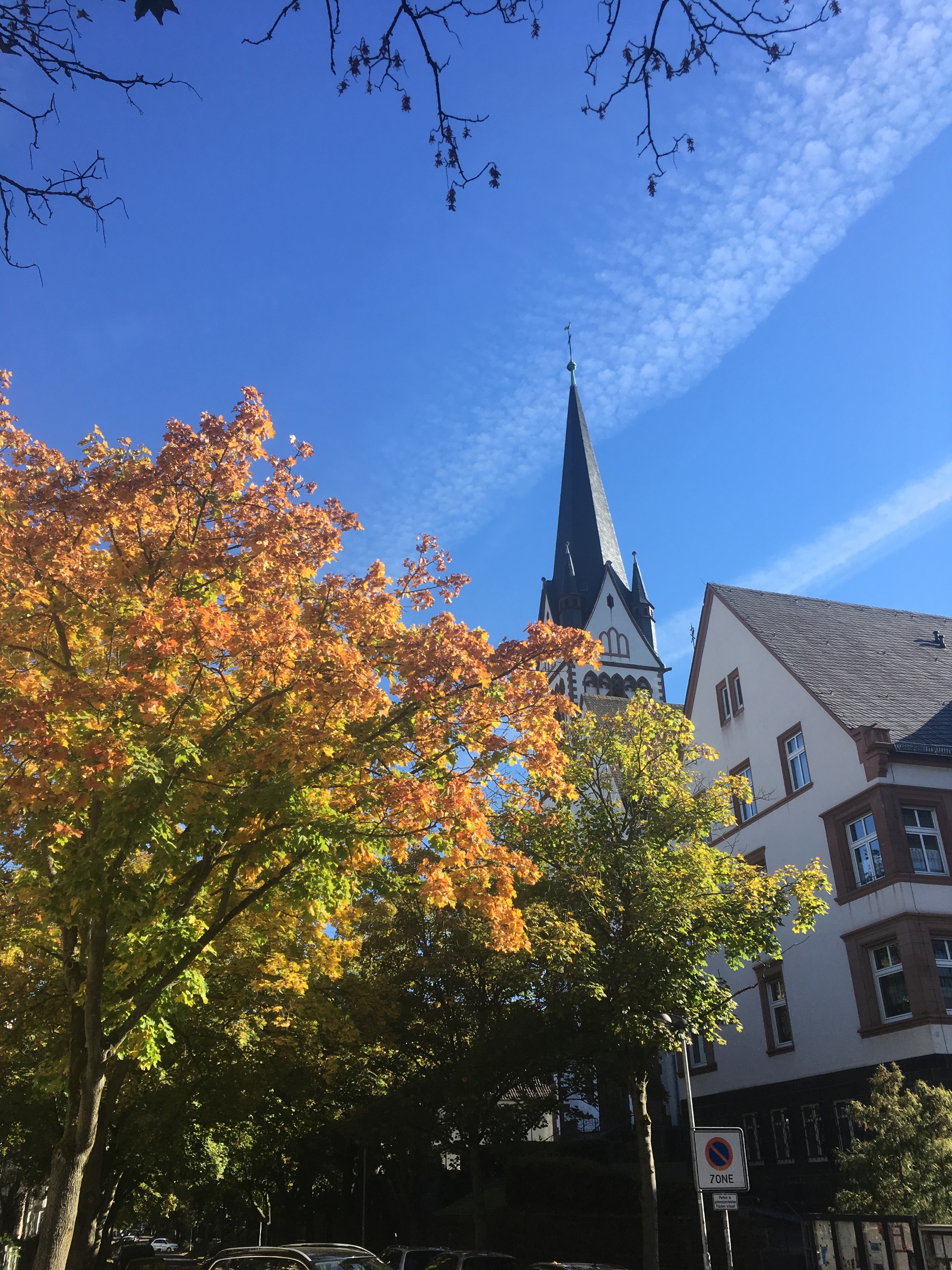 Bonifatiuskirche im Herbst