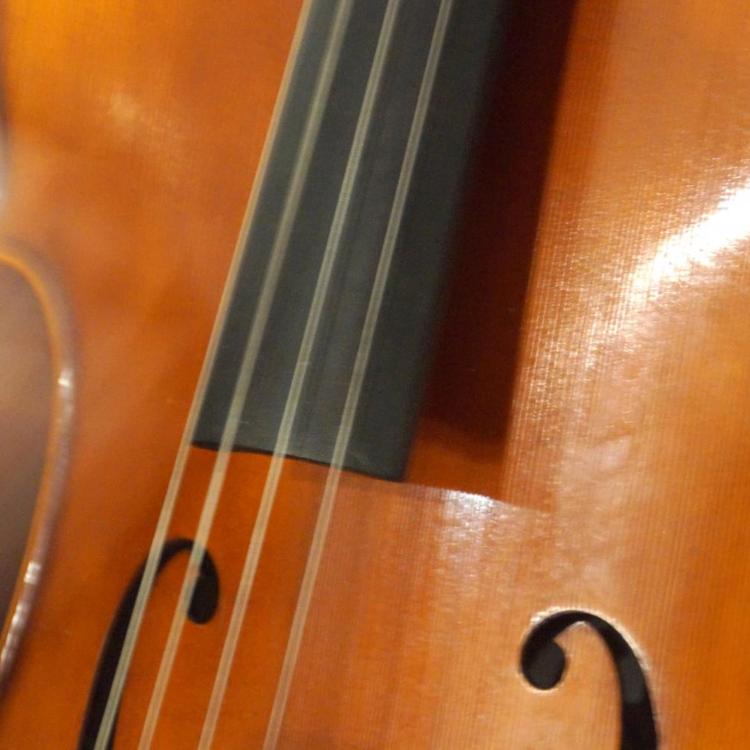 Nahaufnahme von einem Cello mit vibrierenden Saiten und glänzender Holzoberfläche
