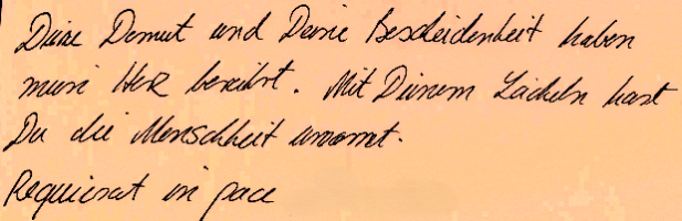 Zitat Kondolenzbuch 3 (c) aus dem Mainzer Kondolenzbuch für Papst Franziskus