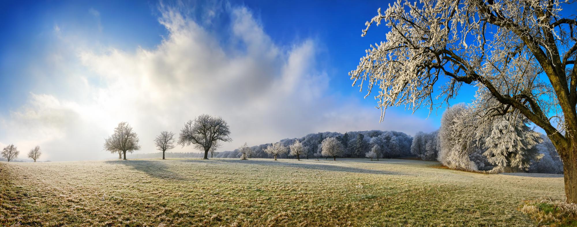 Winterpanorama