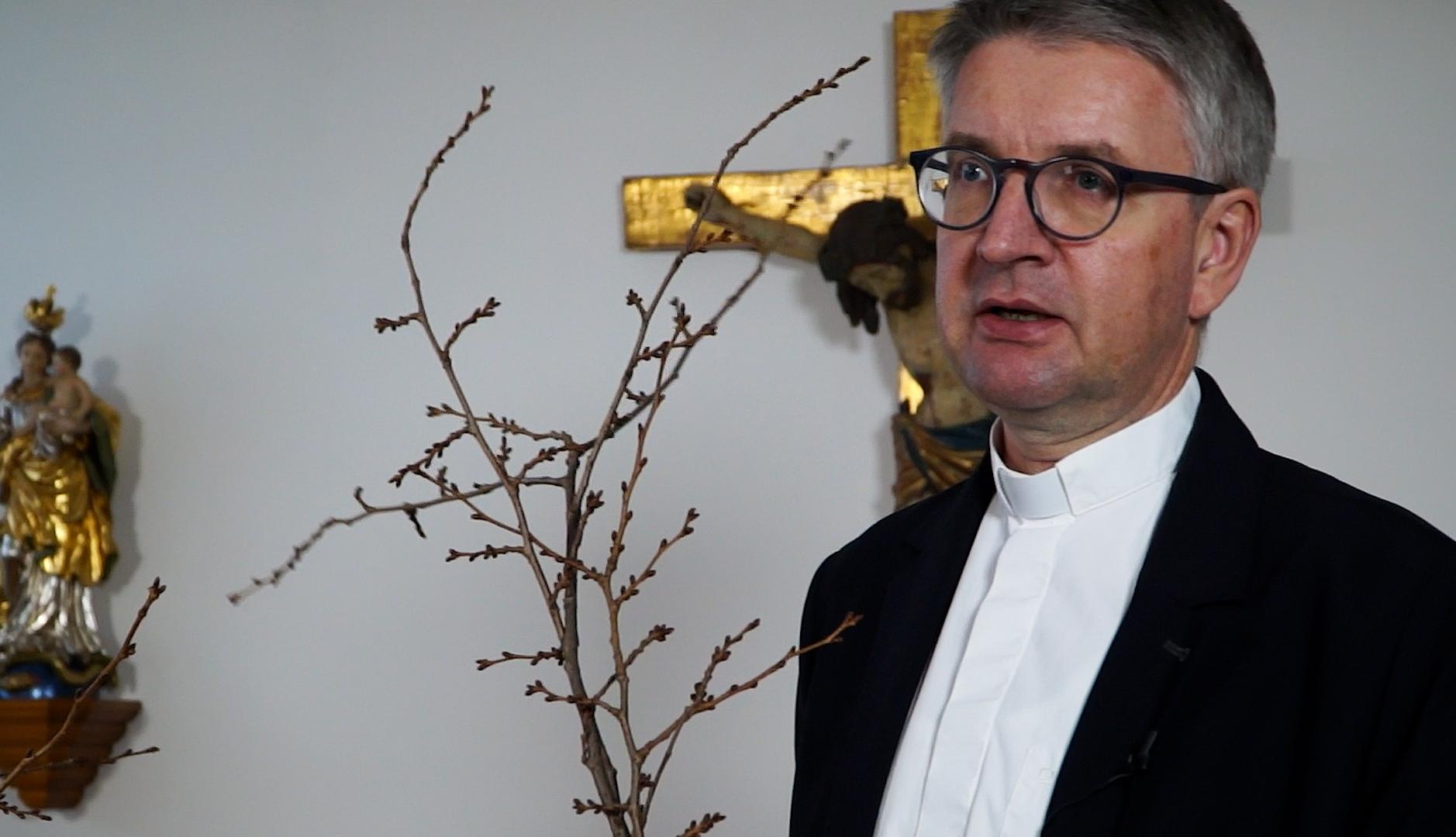 Hoffnungszeichen in einer schwierigen Zeit - Barbarazweige (c) Bistum Mainz