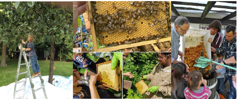 Gemeinschaftsgarten Worms