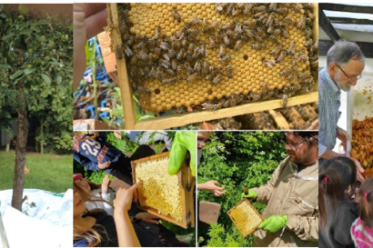 Gemeinschaftsgarten Worms