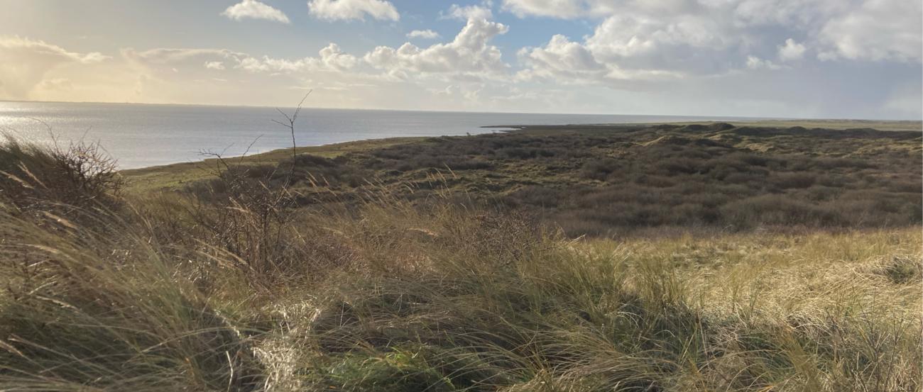 Strand Ameland_DG