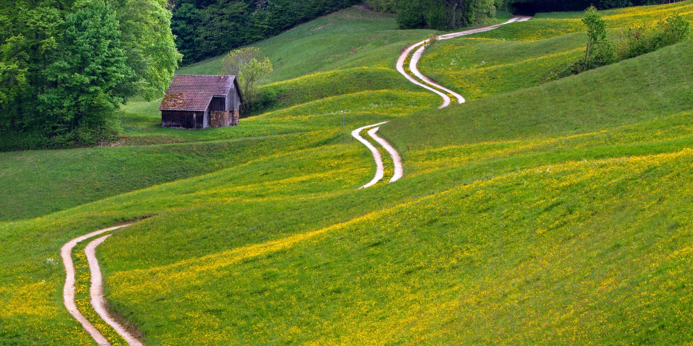 Weg über eine Wiese