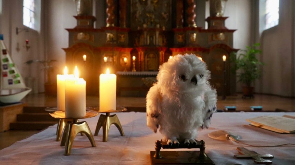 Hedwig, Harry Potters Eule, durfte natürlich nicht fehlen