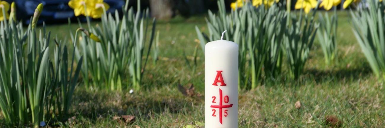 Eine kleine Osterkerze mit Kreuz, Alpha und Omega, auf einem Holzstamm vor blühenden Osterglocken