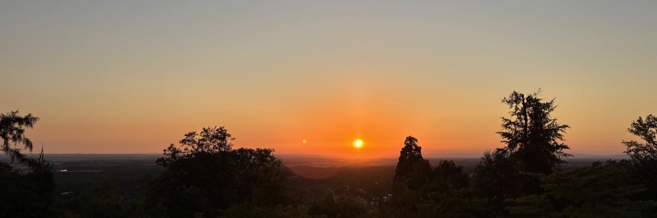 Sonnenuntergang im Odenwald, Schattenumrisse hoher Tannen