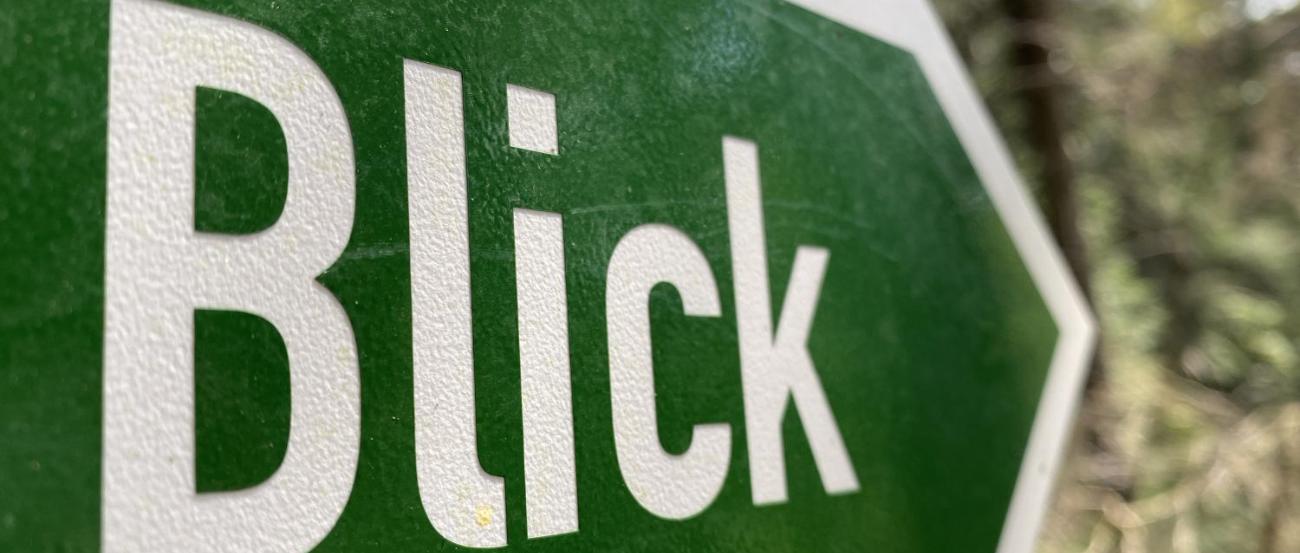 ein gründer Wegweiser mit der Aufschrift Blick