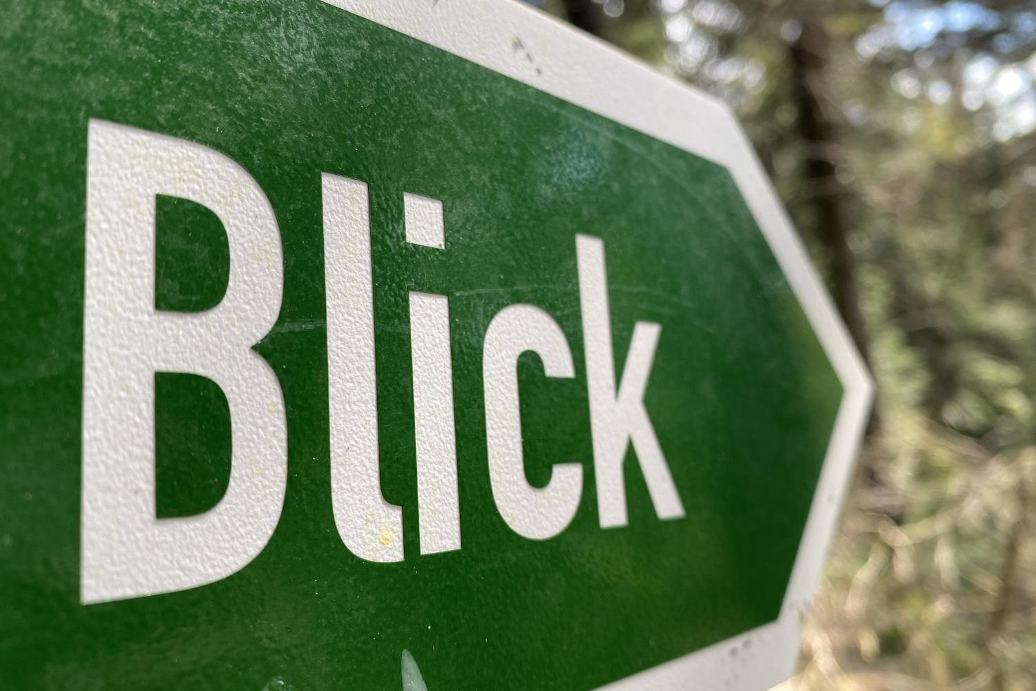 ein gründer Wegweiser mit der Aufschrift Blick