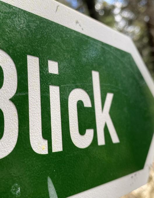 ein gründer Wegweiser mit der Aufschrift Blick