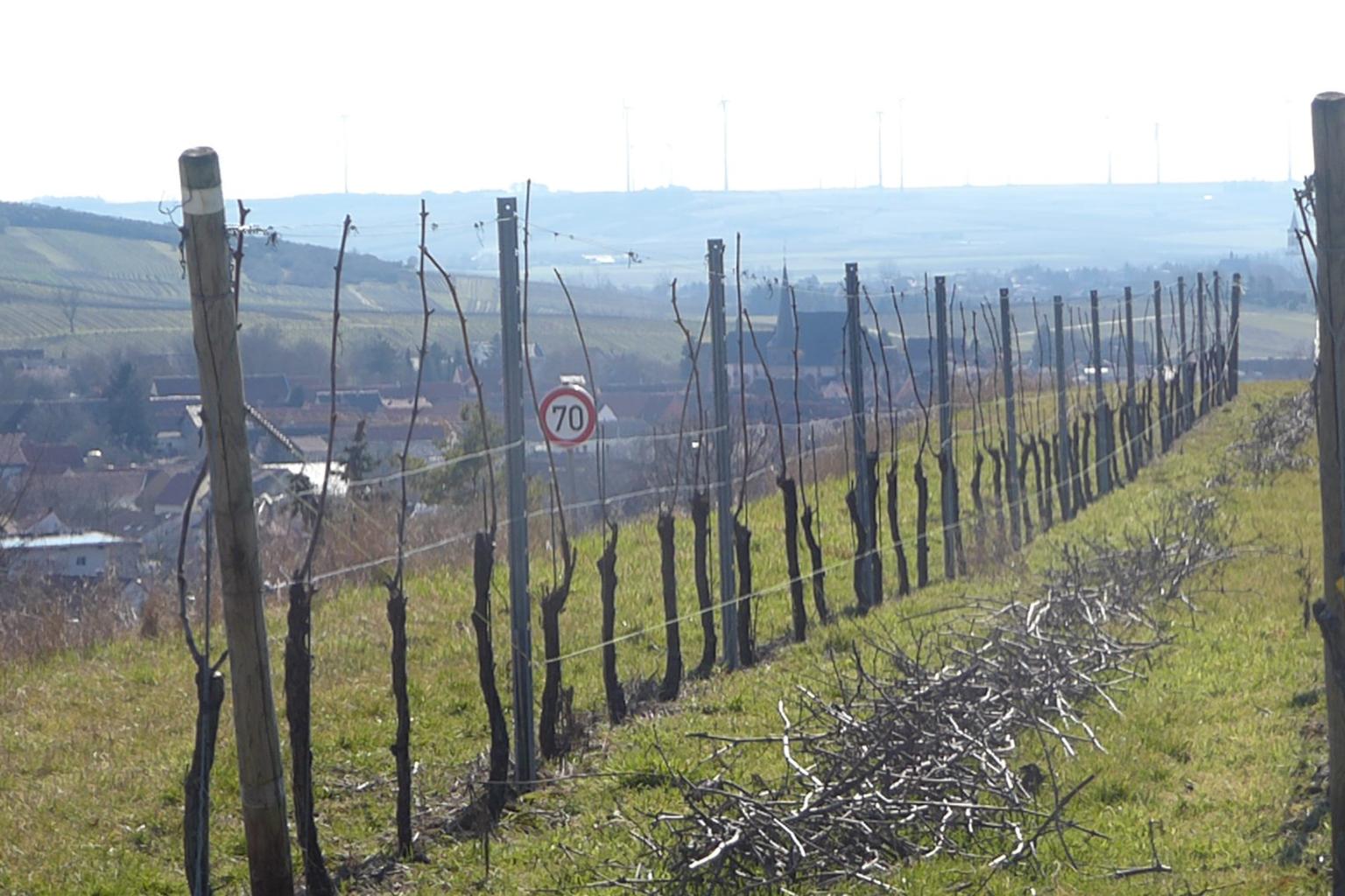 Gau-Odernheim