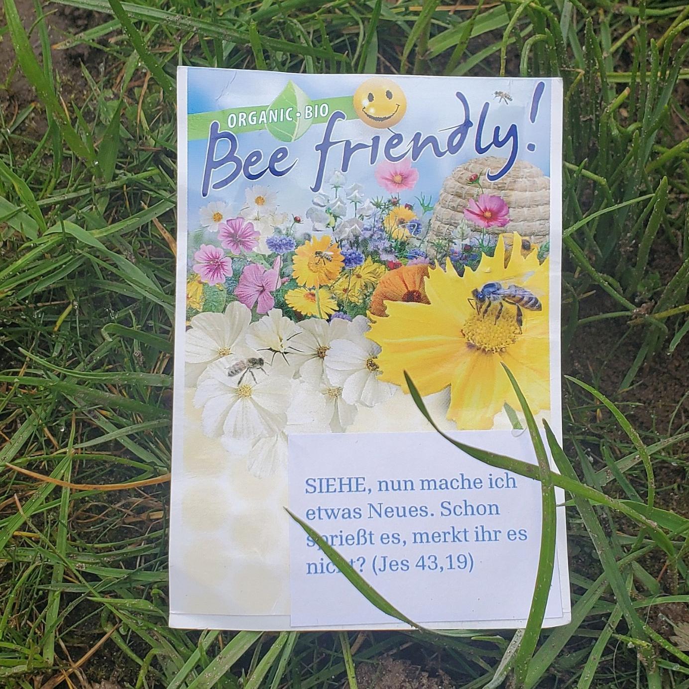 Plakat 'SIEHE, nun mache ich etwas Neues' in einer grünenden Wiese