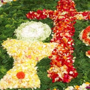 blumenteppich_q