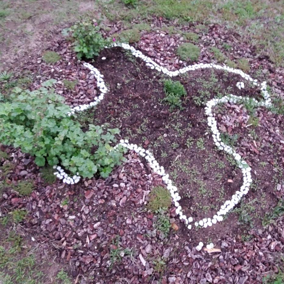 Hier finden Sie alle Informationen zum Firmkurs 2026