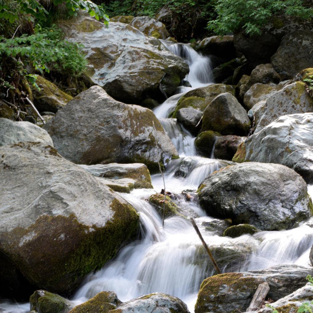 donishala-river-6689599_1920