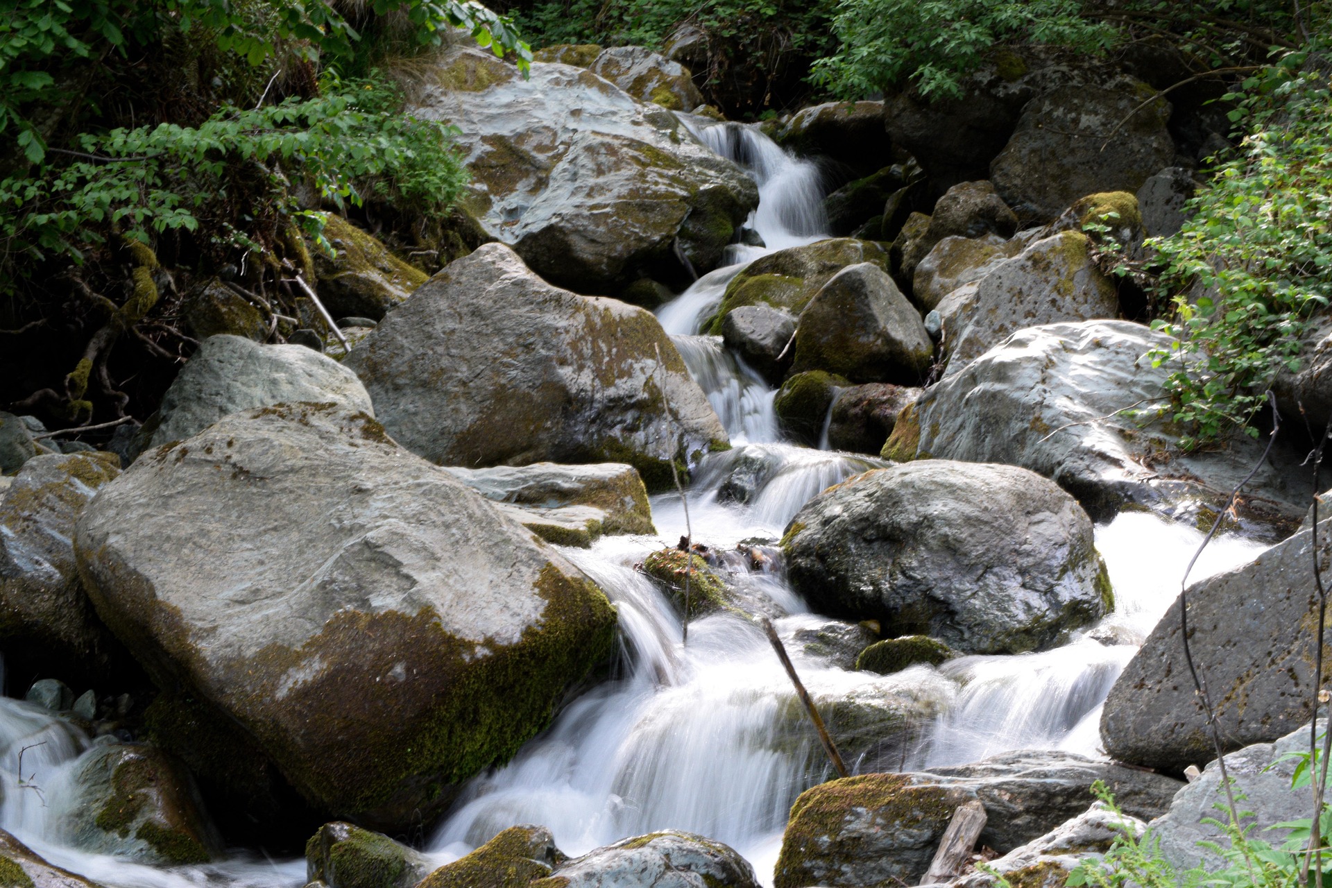 donishala-river-6689599_1920
