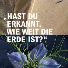 Flyer Schöpfungszeit
