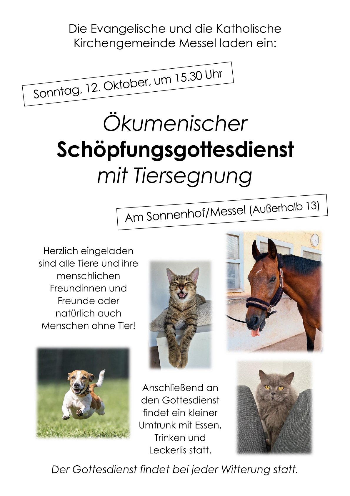 Plakat Schöpfungsgottesdienst_2025