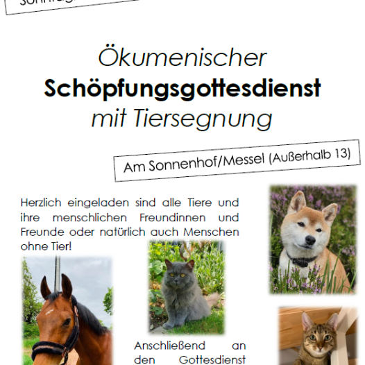 Plakat Tiersegnung 26